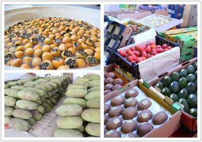 禪城南莊大型水果批發市場開業，市民迎來“水果自由”新選擇